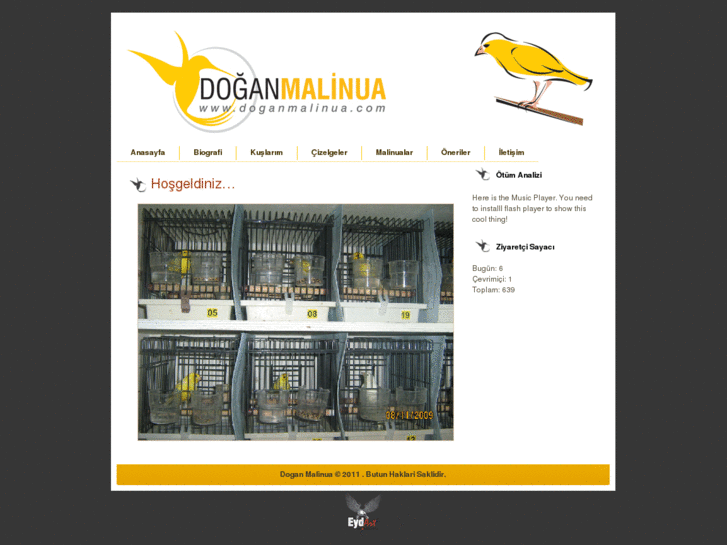 www.doganmalinua.com