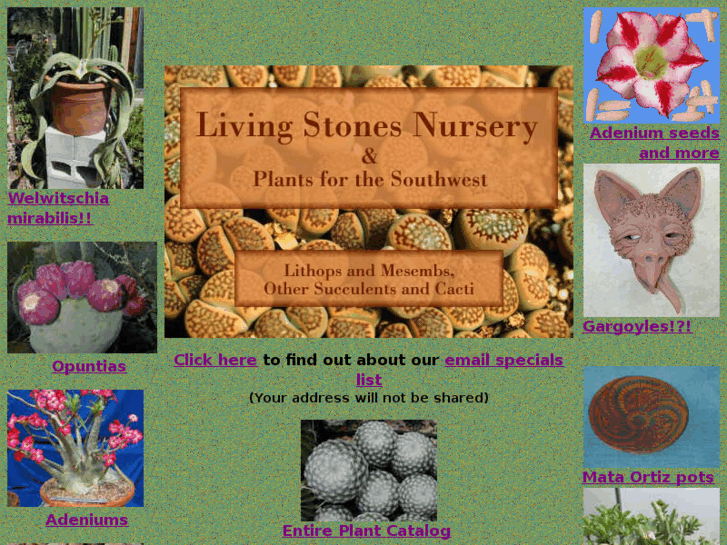 www.lithops.com