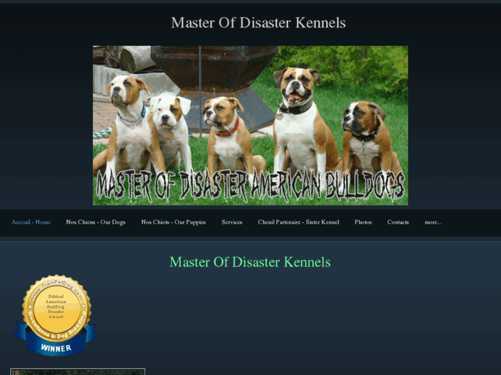 www.masterofdisasterkennels.com