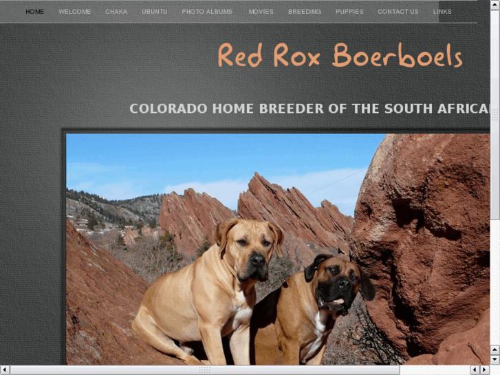 www.redrocksboerboels.com