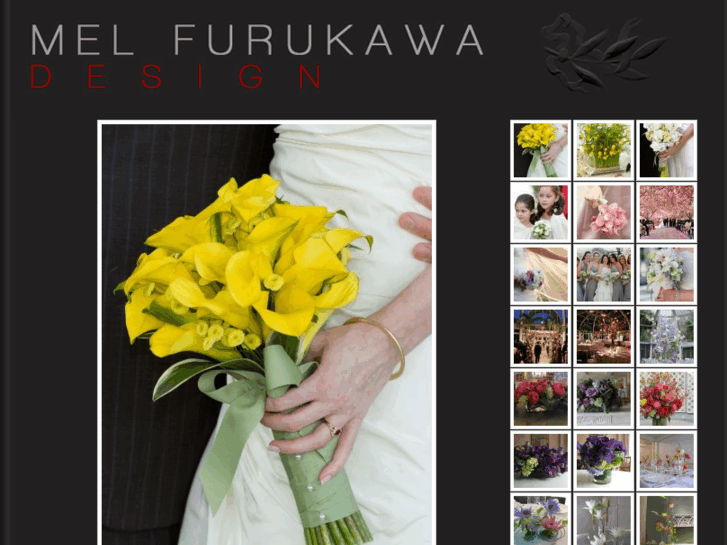 www.melfurukawa.com