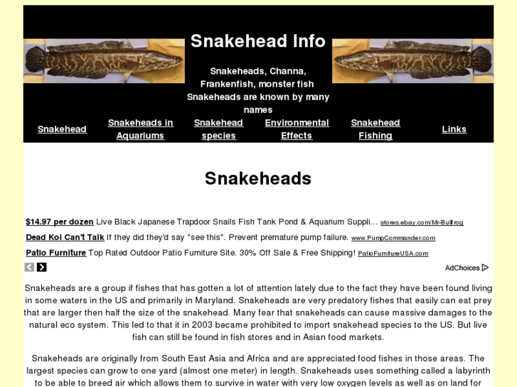 www.snakehead.info