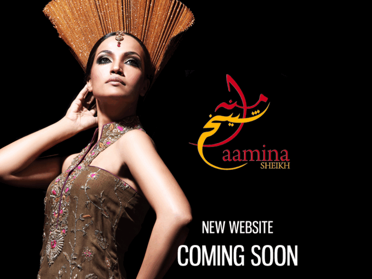 www.aaminasheikh.com