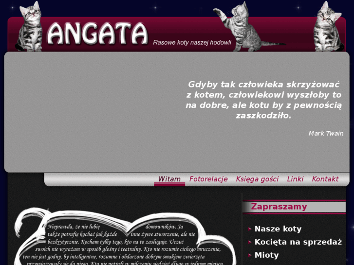 www.angata.pl