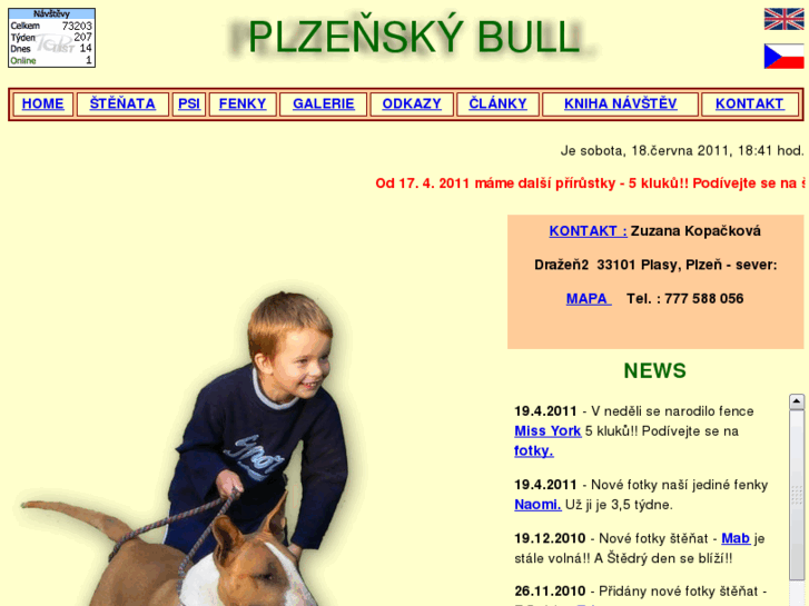 www.bull-terrier.cz