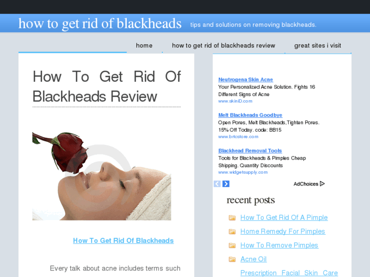 www.howtogetridofblackheads.net