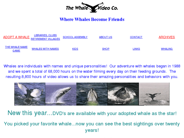 www.whalevideo.com