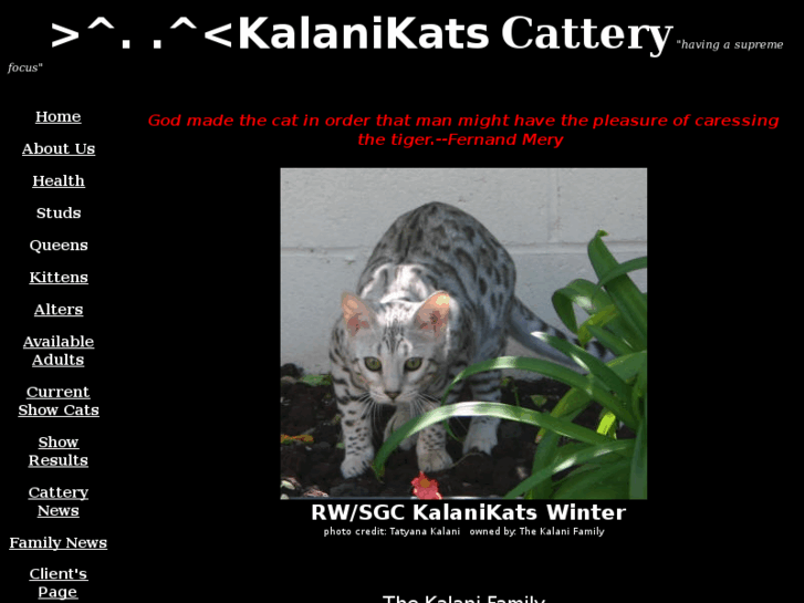 www.kalanikats.com