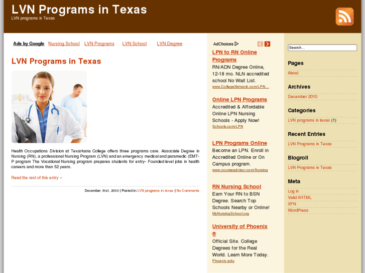 www.lvnprogramsintexas.com