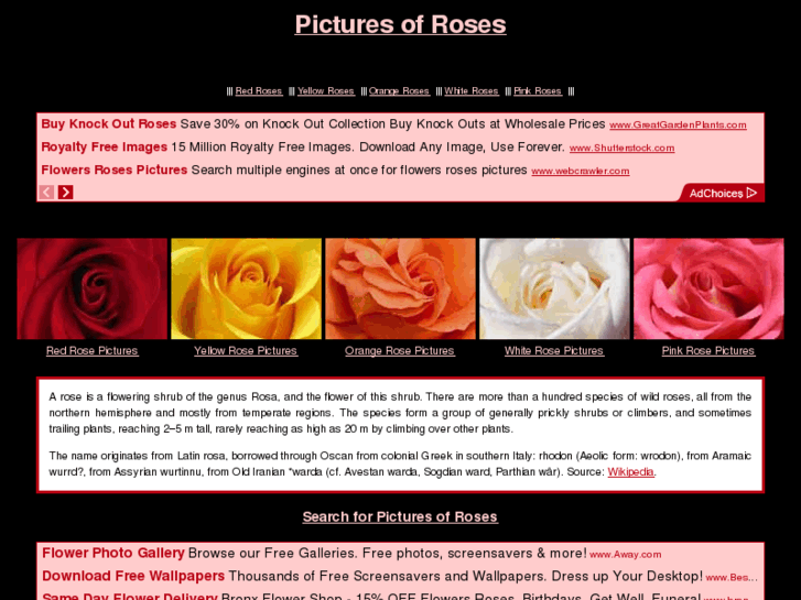 www.pictures-of-roses.com