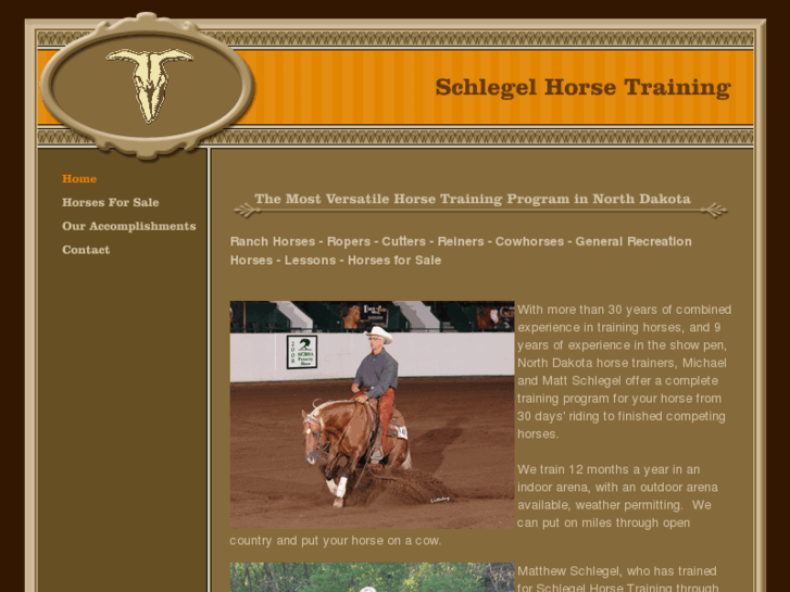 www.schlegelhorsetraining.com