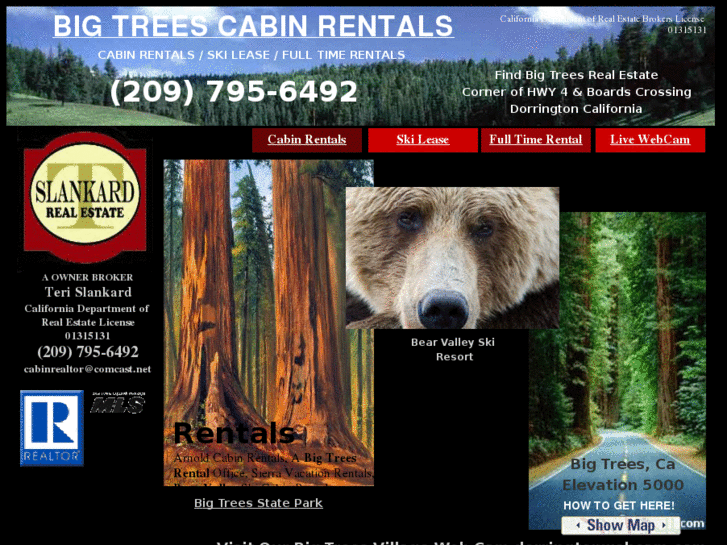 www.thecabinrealtor.com