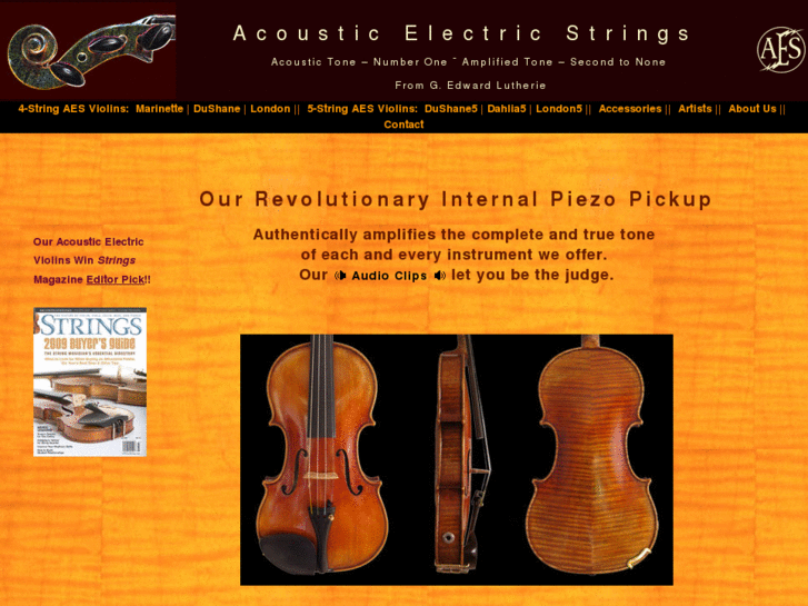 www.acoustic-electric-violin.com