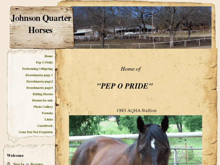 www.bobjohnsonquarterhorses.com