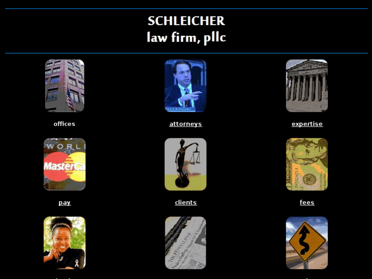 www.davidschleicher.com