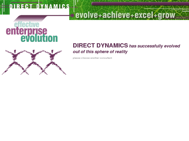 www.directdynamics.biz