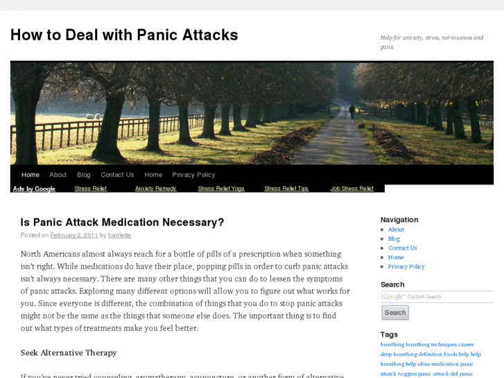 www.howtodealwithpanicattacks.net