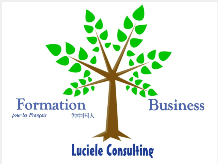 www.lucieleconsulting.com