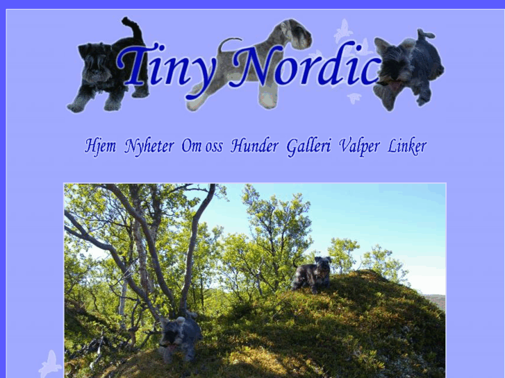 www.tinynordic.com