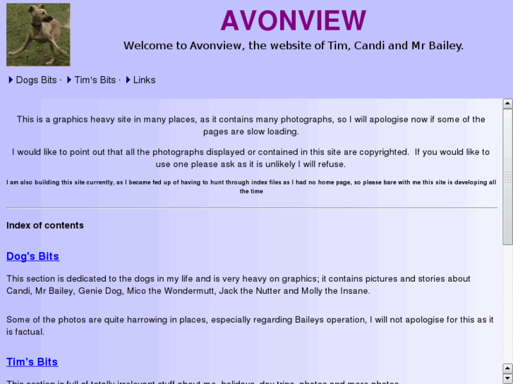 www.avonview.com