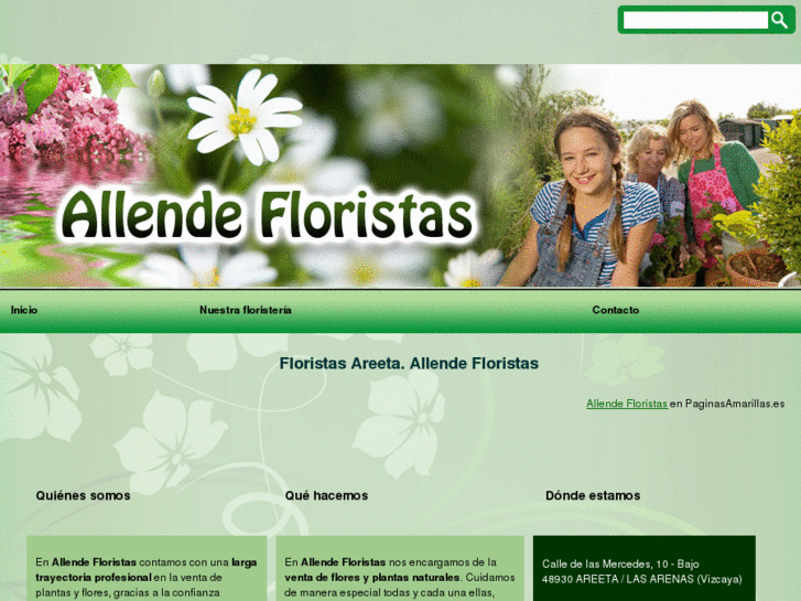 www.floresallende.es