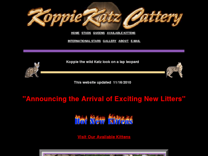 www.koppiekatz.com