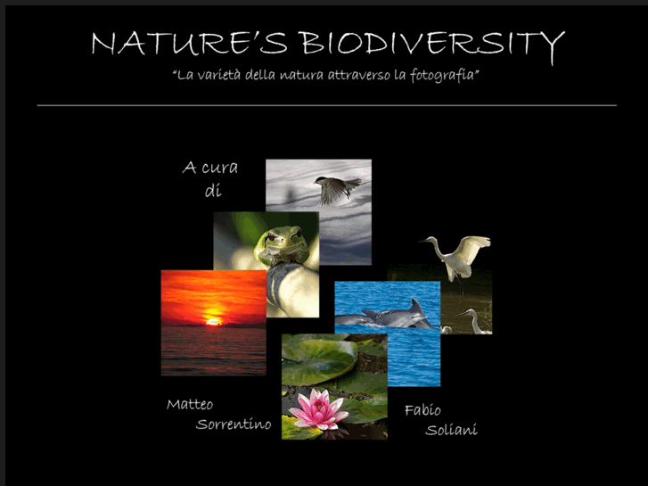 www.naturebiodiversity.com