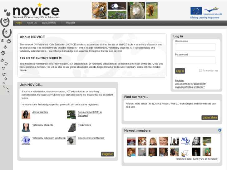 www.noviceproject.eu