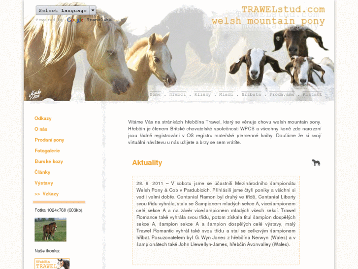 www.trawelstud.com