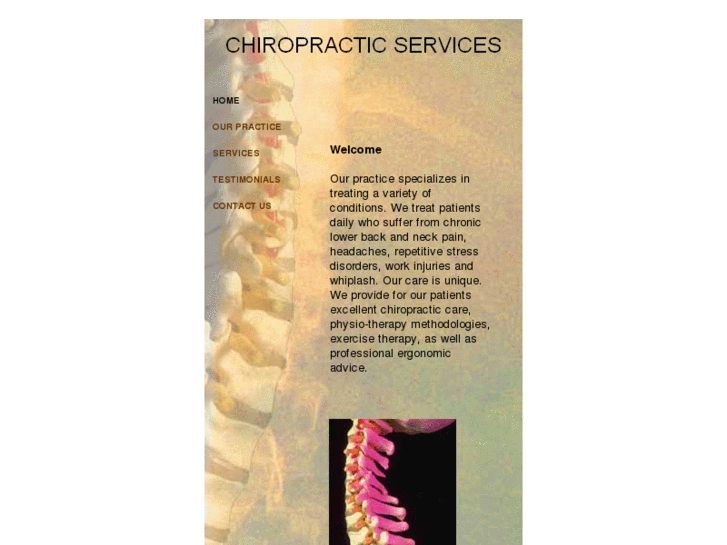 www.clementonchiropractic.com