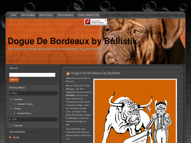 www.dogue-de-bordeaux.us