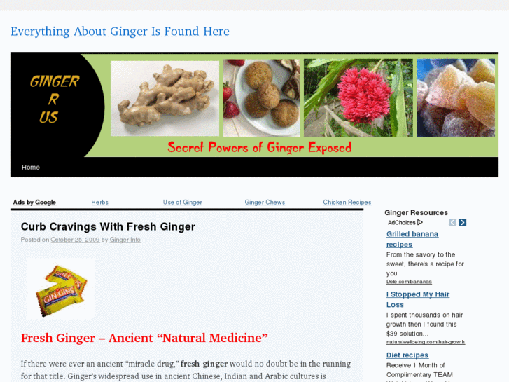 www.gingerinfo.com