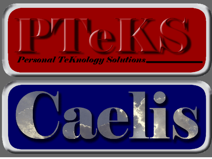 www.pteks.net