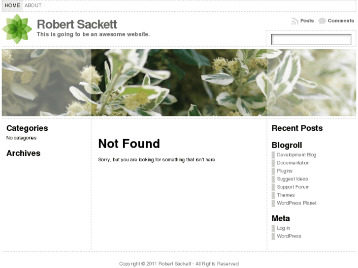 www.robert-sackett.com