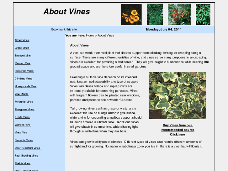 www.aboutvines.com