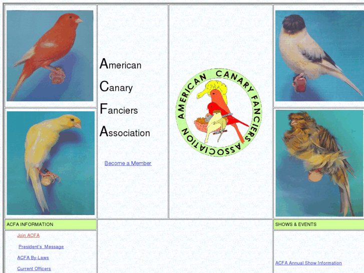 www.acfa-canaryclub.com