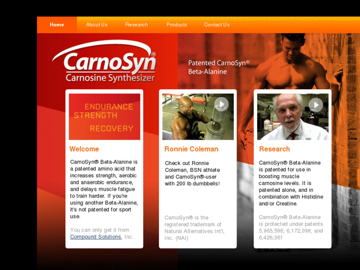 www.carnosyn.net