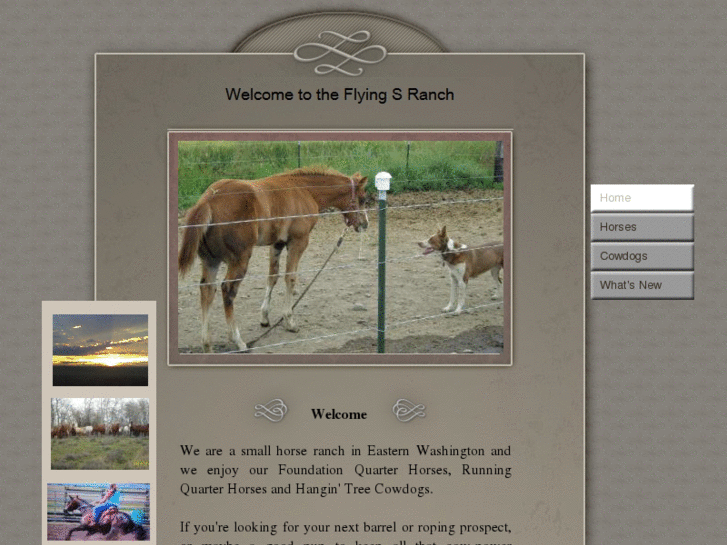 www.flyingsranch-wa.com