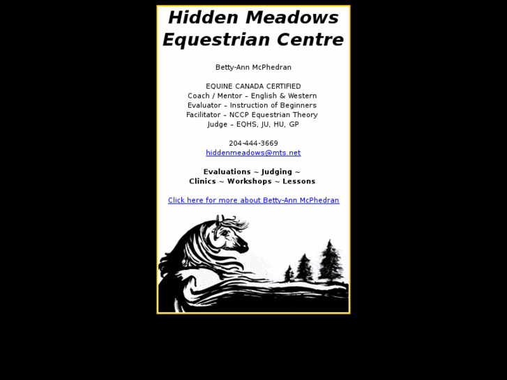 www.hiddenmeadowsequestrian.com