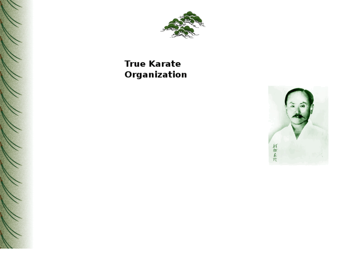 www.truekarate.org