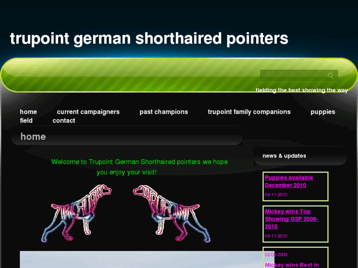 www.trupointgermanshorthairedpointers.com