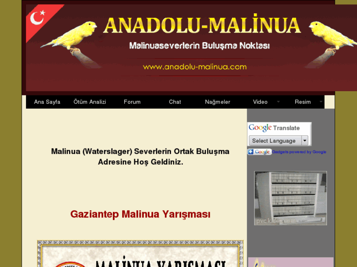 www.anadolu-malinua.com