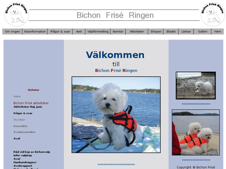 www.bichonfrise.se