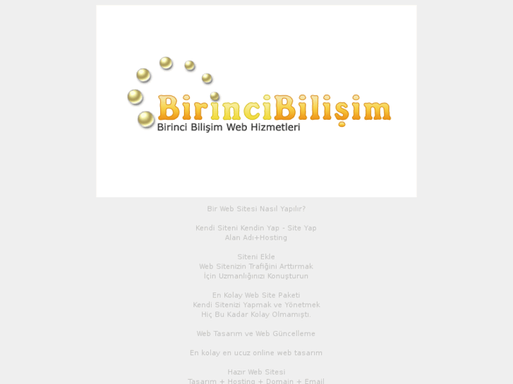 www.birincibilisim.com