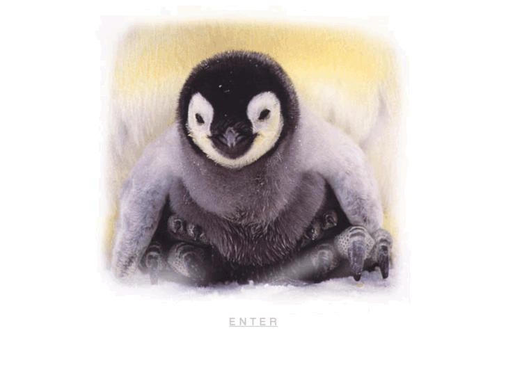 www.emperor-penguin.com