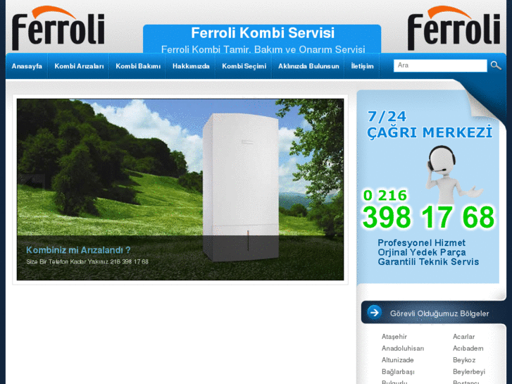 www.ferroliservisi.biz