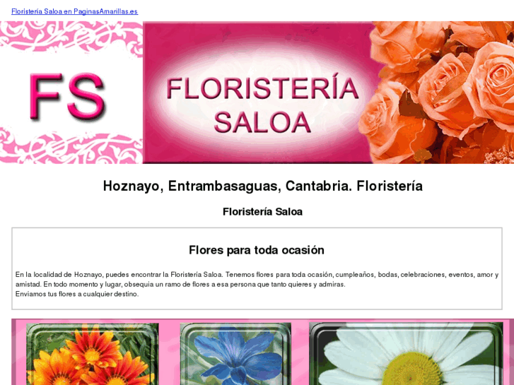 www.floristeriasaloa.com