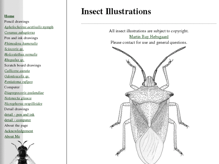 www.insectillustrations.com