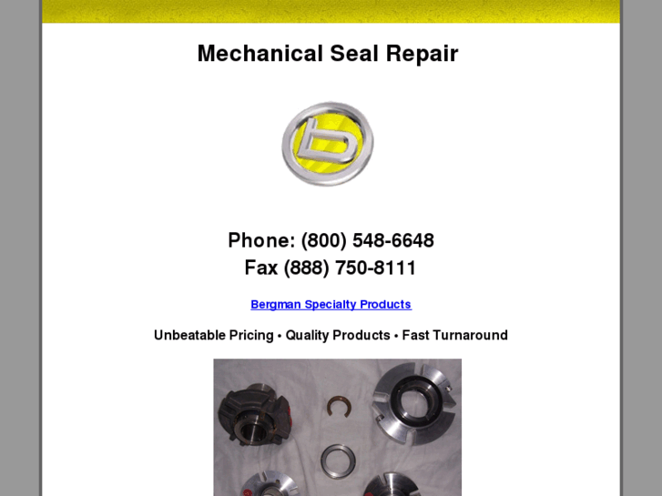 www.mechanicalsealrepair.info