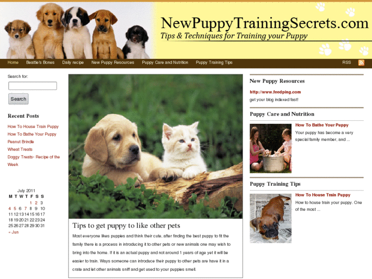 www.newpuppytrainingsecrets.com